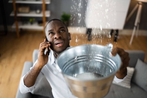 Best Flooded house restoration  in Newark, CA