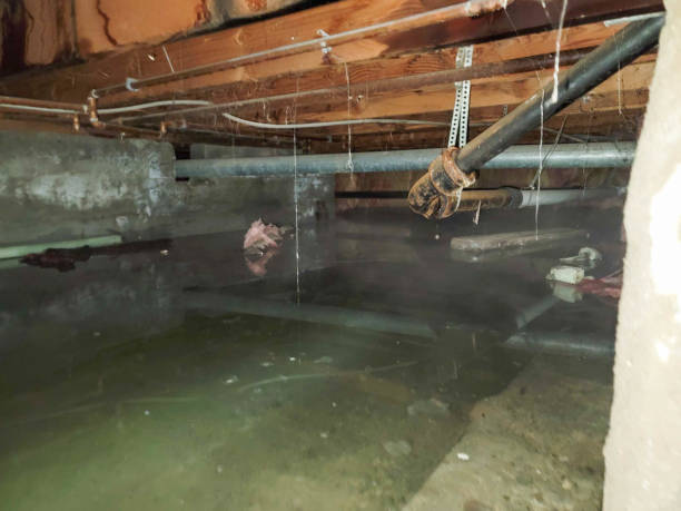 Best Commercial water damage restoration  in Newark, CA
