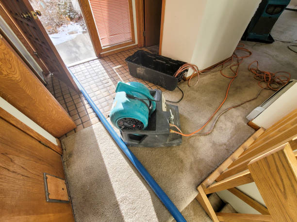 Best 24-hour water damage restoration  in Newark, CA