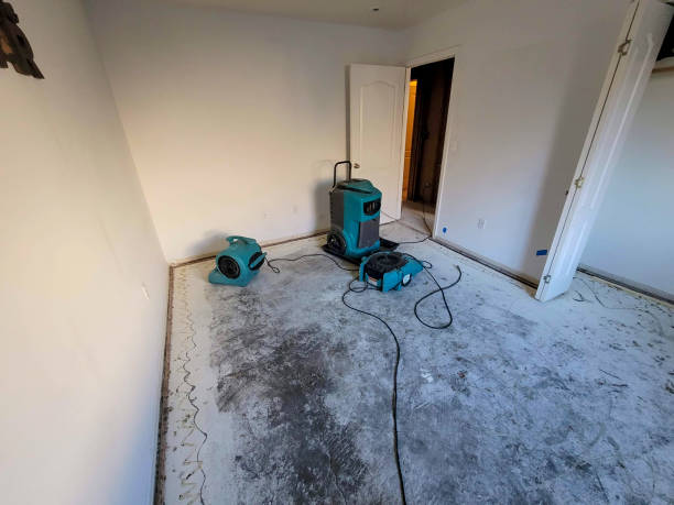Best Flood restoration services  in Newark, CA