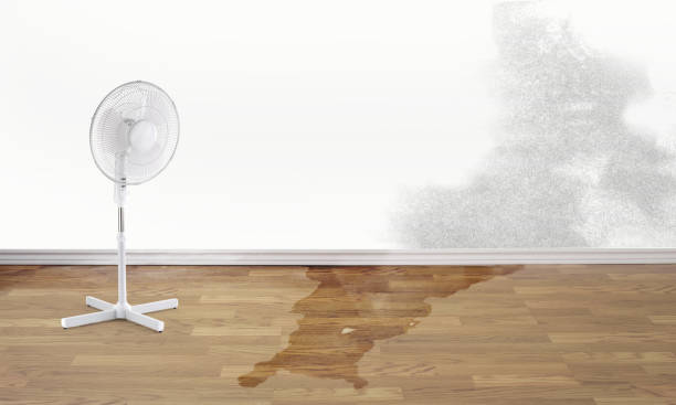 Best Water damage restoration near me  in Newark, CA