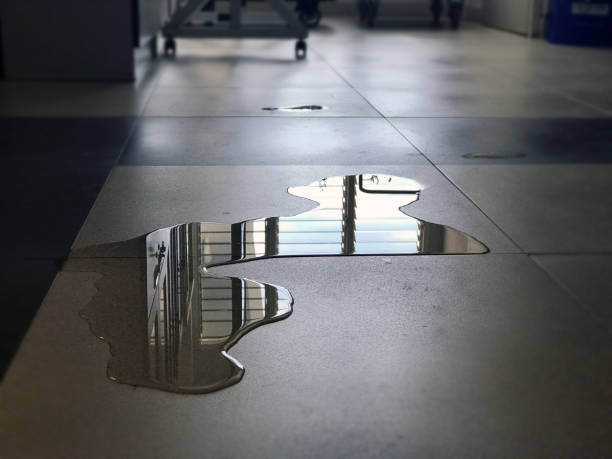 Best Professional water damage repair  in Newark, CA
