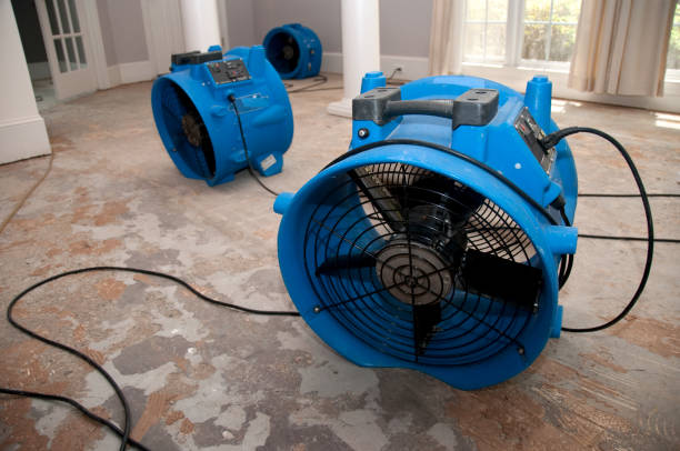 Best Water damage cleanup near me  in Newark, CA