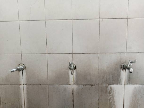 Best Water damage restoration near me  in Newark, CA