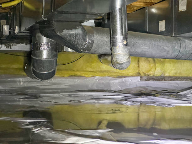Best Mold removal after water damage  in Newark, CA